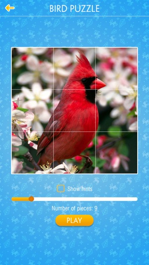 Bird Jigsaw Puzzle(圖4)-速報App