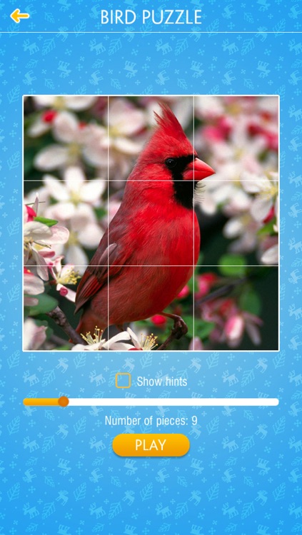 Bird Jigsaw Puzzle screenshot-3