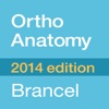 OrthoAnatomy 2014 edition