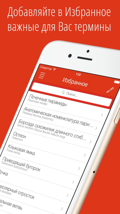 Cito! анатомия человека словарь медицинских терминов screenshot-3