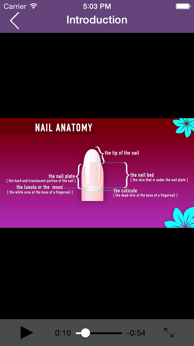 How to cancel & delete Nail Art Tutorial - Step by Step Manicure Guide from iphone & ipad 4