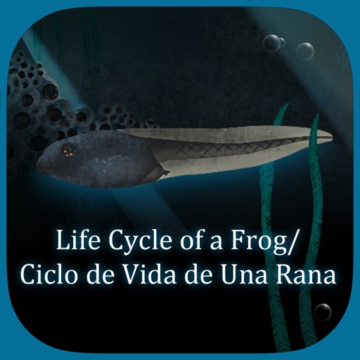 Life Cycle of a Frog icon