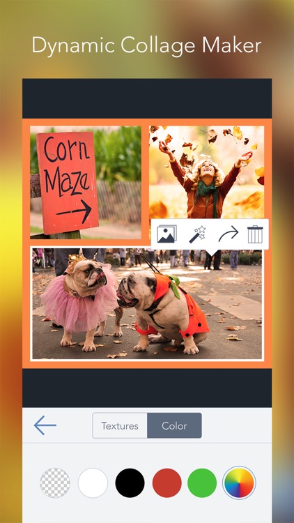 BeFunky Pro - Photo Editor and Collage Maker screenshot-0