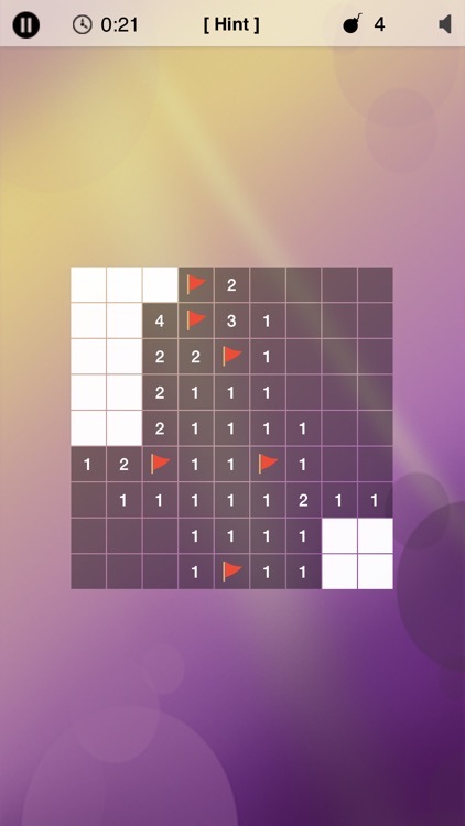 Minesweeper Puzzle