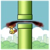 Squishy Birds - Birds Smash Flap Hit Revenge