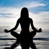 Yoga : Beginners Flow for Everyone-VideoApp by Maral Hadidi