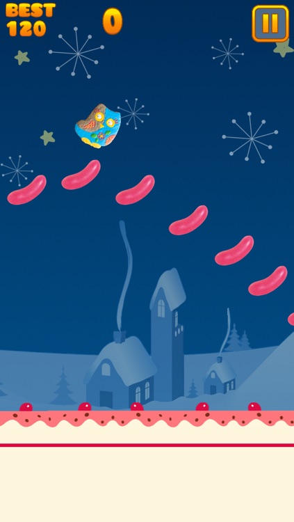 Cookie Bird Flying Adventure screenshot-3