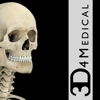 Skeletal System Pro III apk