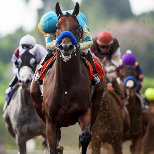 QuickPicksPro for Horse Racing Kentucky Derby Edition