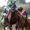 QuickPicksPro is a revolutionary new handicapping app that allows you to analyze past performance race cards from all North American Thoroughbred Race Tracks in United States and Canada using race card data files
