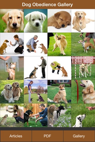 Dog Obedience Guides - Train Your Dog Effectively, Dog Training Tips, Dog Gallery screenshot 2