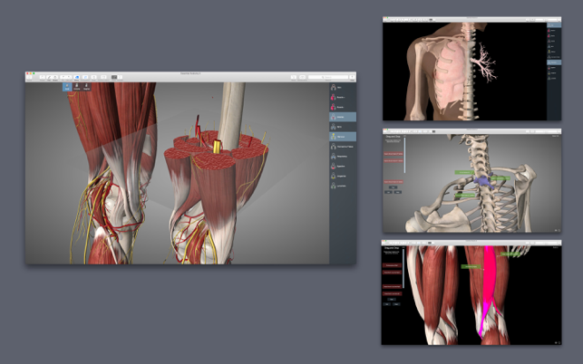 ‎Essential Anatomy 5 Screenshot