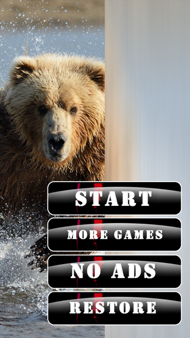Grizzly Bear Hunt-ing Bullet Juggle Gameのおすすめ画像1