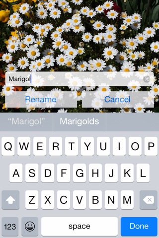 ImgTree : PhotoManager screenshot 2