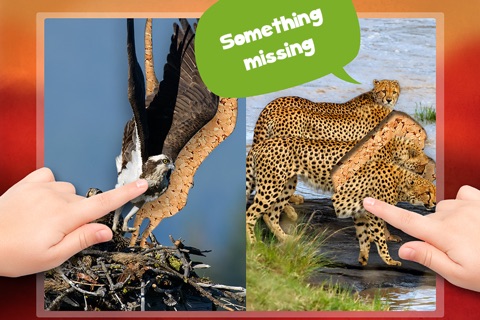 Wildlife Safari Photo Jigsaw Puzzle Free screenshot 4