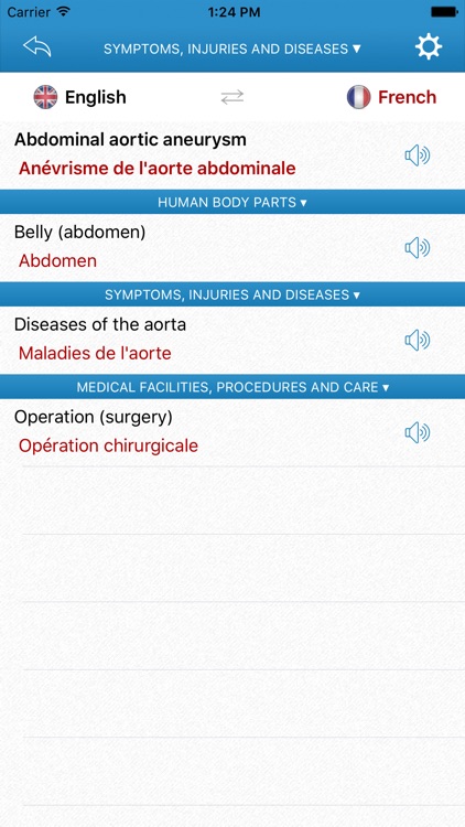 Medical Multilingual Dictionary for Travellers