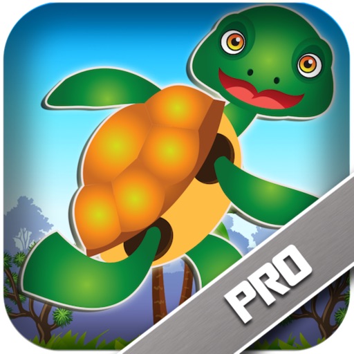 Ninja Running Turtle Pro - Run And Jump In The Fun Dojo (3D Game For Kids) iOS App