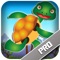 Ninja Running Turtle Pro - Run And Jump In The Fun Dojo (3D Game For Kids)