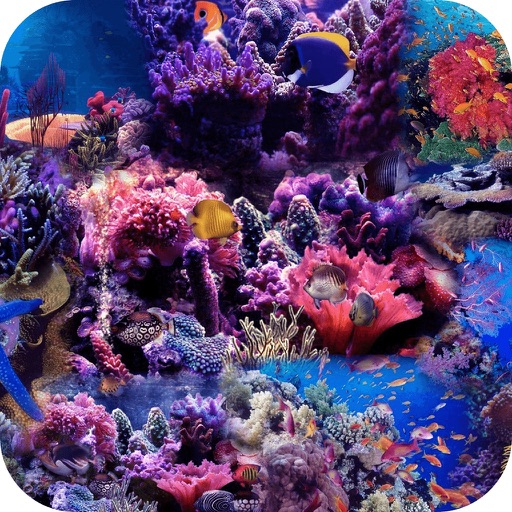 Free Ocean Jigsaw Puzzle