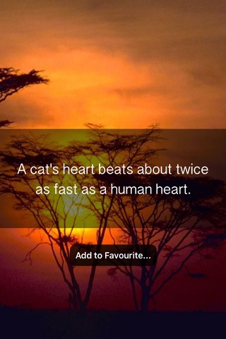Animal Facts - 2000+ Interesting Facts About Animals screenshot 2