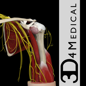 Shoulder Pro III with Animations
