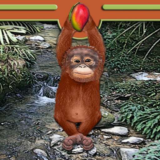 Orangutan of the Jungle icon