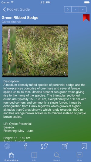 Pocket Guide UK Grasses(圖3)-速報App