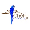 Chetty Parrots