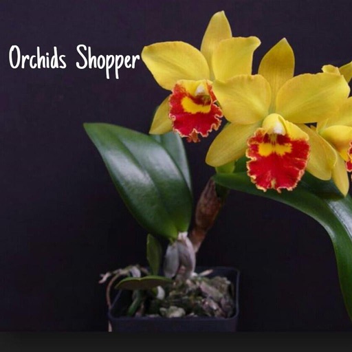 Orchids Shopper