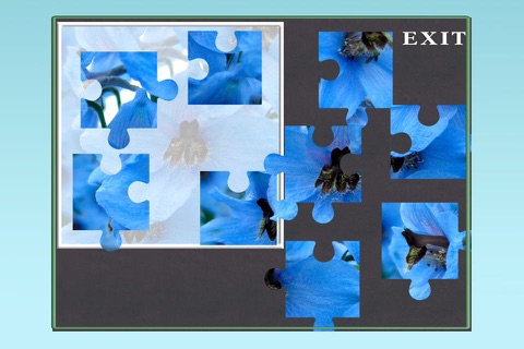 A Flower Puzzle Game screenshot 2