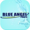 Blue Angel Pumps