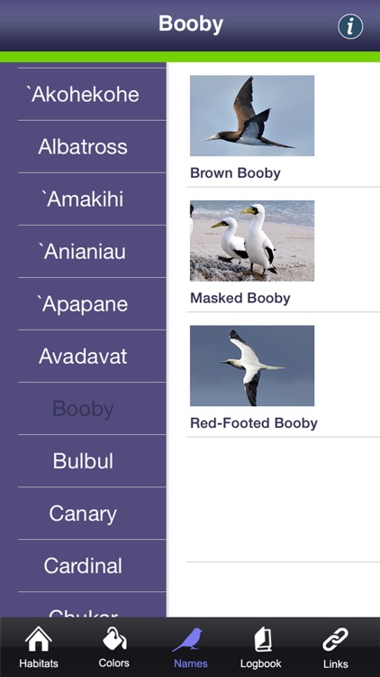 Bird ID Hawaii for iPhone screenshot-4