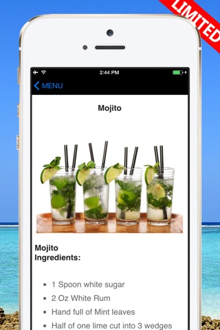 A+ Video Cocktail Recipes Pro - Beginner's Guide screenshot 3