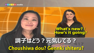 How to cancel & delete JAPANESE - Speakit.tv (Video Course) (5X008ol) from iphone & ipad 4