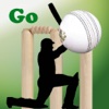 Cricket 3D Go