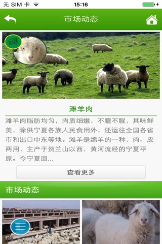 盐池滩羊 screenshot 3