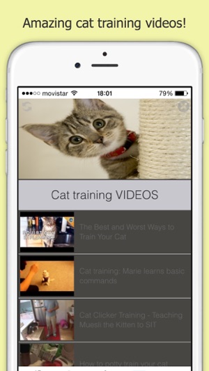 How You Can Train your Cat Free(圖4)-速報App