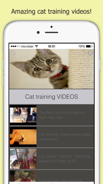 How You Can Train your Cat Free screenshot-3