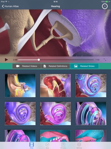 Physiology Human Atlas screenshot 4