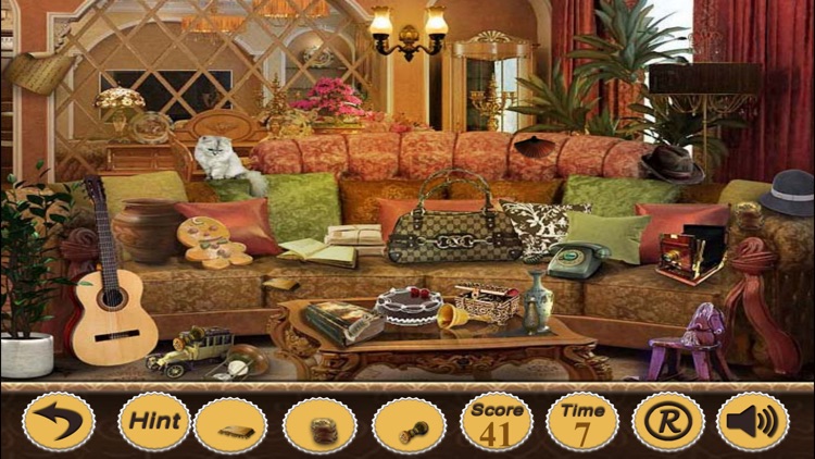 Hidden Objects In Apartments Of Paris screenshot-3