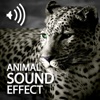 Animal Family Sounds Effect