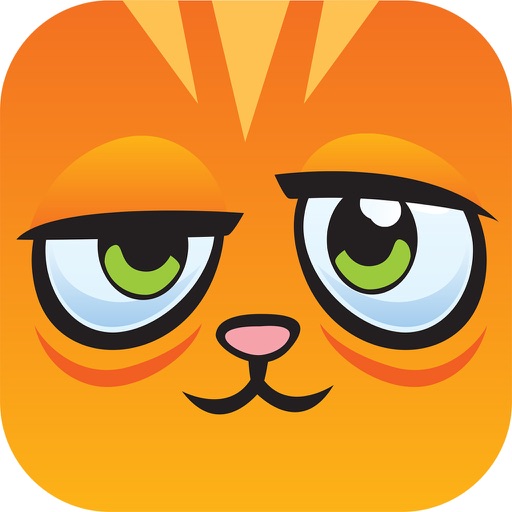 Cat Ready iOS App