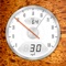 Icon Speedometer+