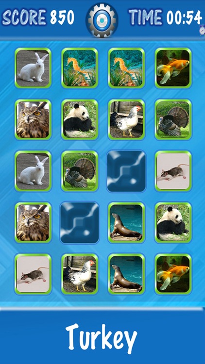 Kids Can Match - Animals , vocal memory game for children HD screenshot-4