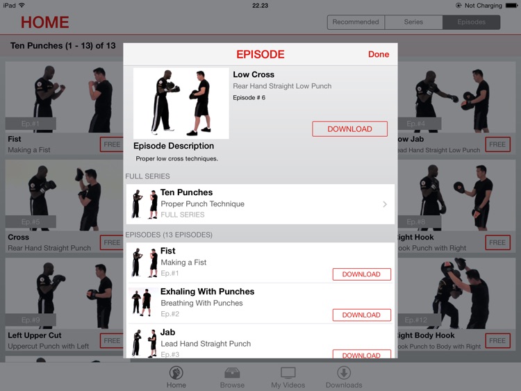 Boxing Lessons - M.A.C. Martial Arts College for iPad