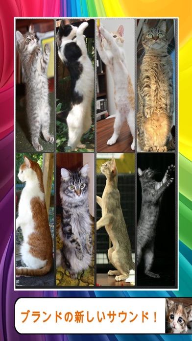 Japan Image 子猫 鳴き声 アプリ