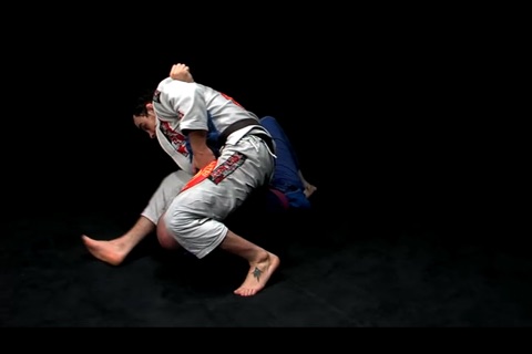 BRAZILIAN JIU-JITSU - Back to Basics vol. 2 screenshot 2