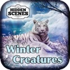 Hidden Scenes - Winter Creatures