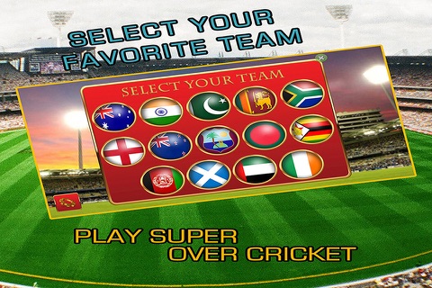 Super Over Cricket screenshot 3