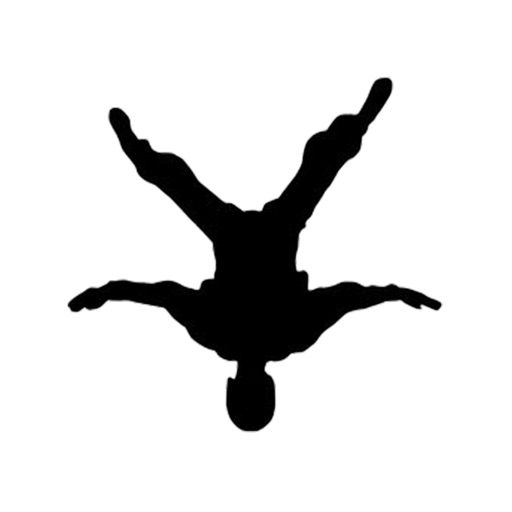 Amazing Skydive icon